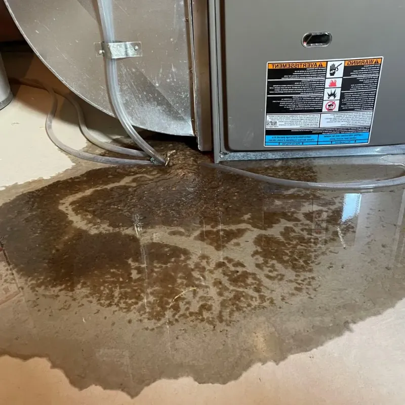 Pipe Burst and Leak Restoration in La Union, NM