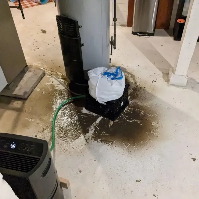 Sewage Backup Cleanup Service in La Union, NM
